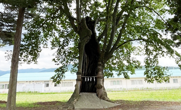 東福寺神社　背景